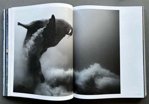 Born To Ice - Setanta Books