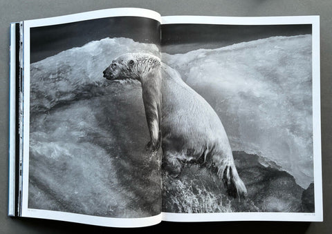 Born To Ice - Setanta Books