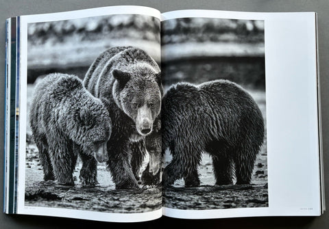 Born To Ice - Setanta Books