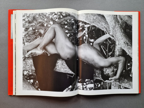 Brazil Incarnate - Setanta Books