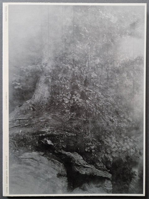 The book cover of cabbage white by raymond Meeks with a forest landscape in black and white