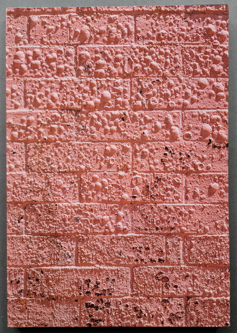 Californian Wildflowers - Setanta Books