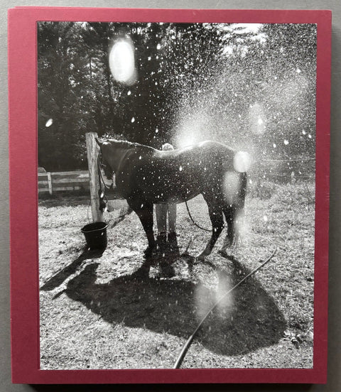 Calling the Birds Home - Setanta Books