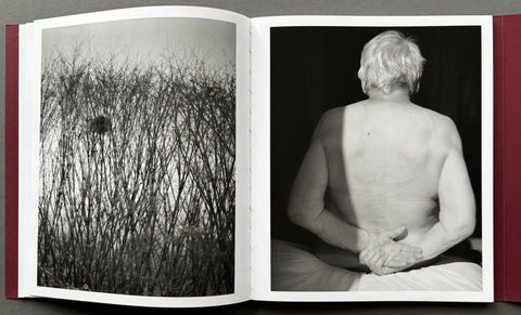 Calling the Birds Home - Setanta Books