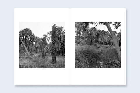 One Picture Book Two #40 : Sea Islands