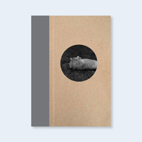 Cats (One Picture Book) - Setanta Books