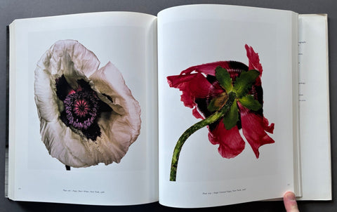 Centennial - Setanta Books