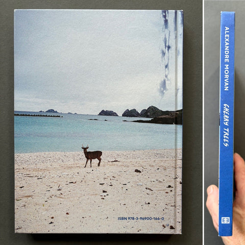Cherry Trees - Setanta Books