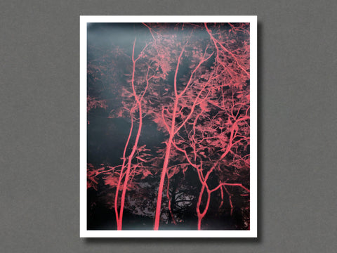 Christopher Anderson 写真集 Christopher Anderson - Nonfiction | Photobook Junkies