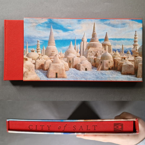 City of Salt - Setanta Books