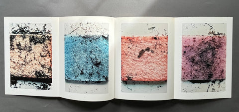 Coexistence - Setanta Books