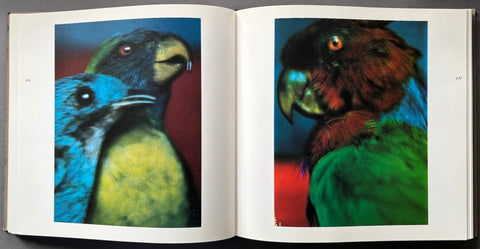 Coincidences - Setanta Books