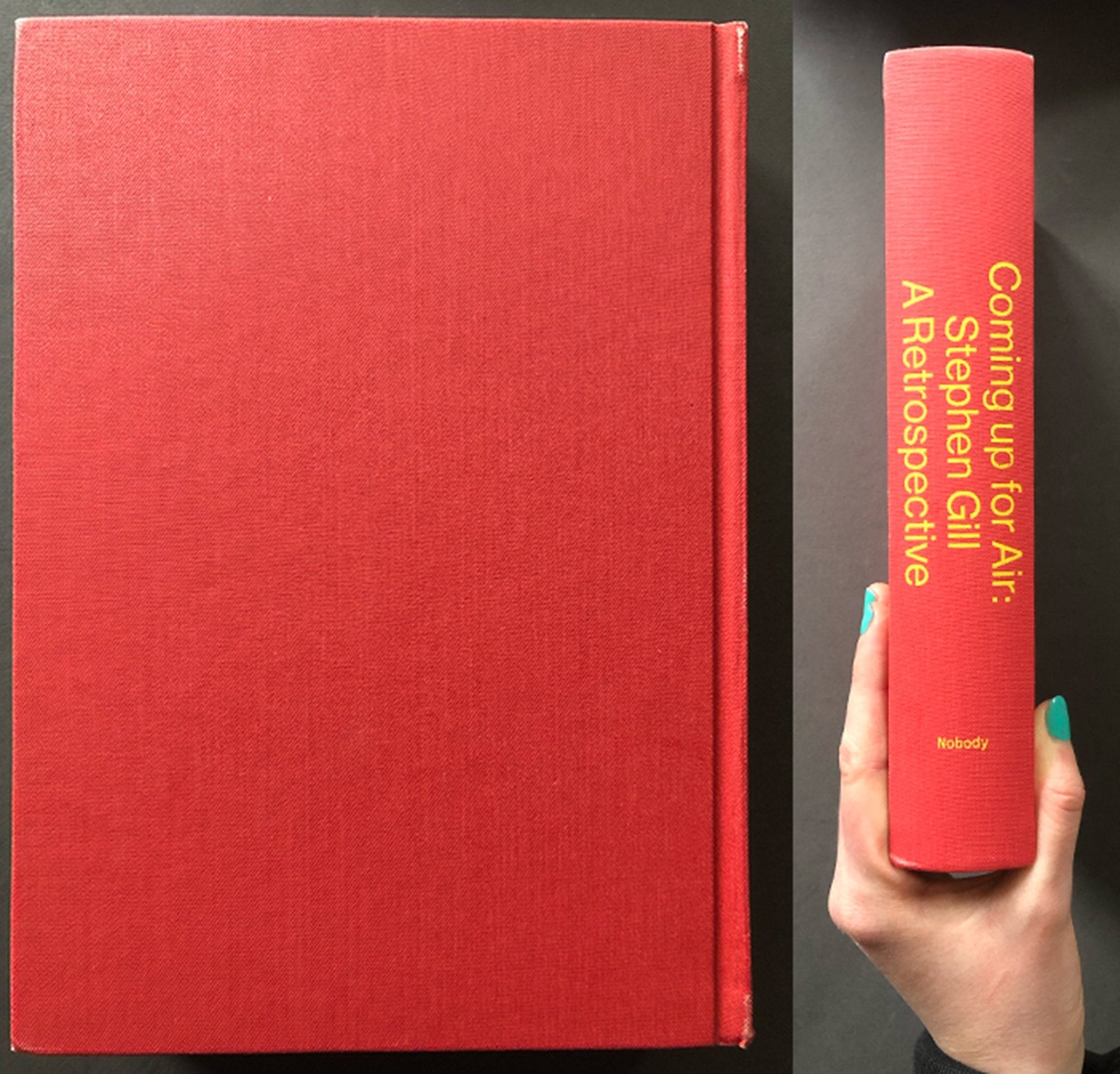 Buy Coming Up For Air: Stephen Gill – A Retrospective Online