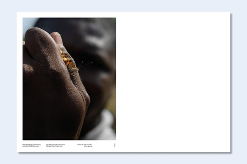 Constant Bloom - Setanta Books