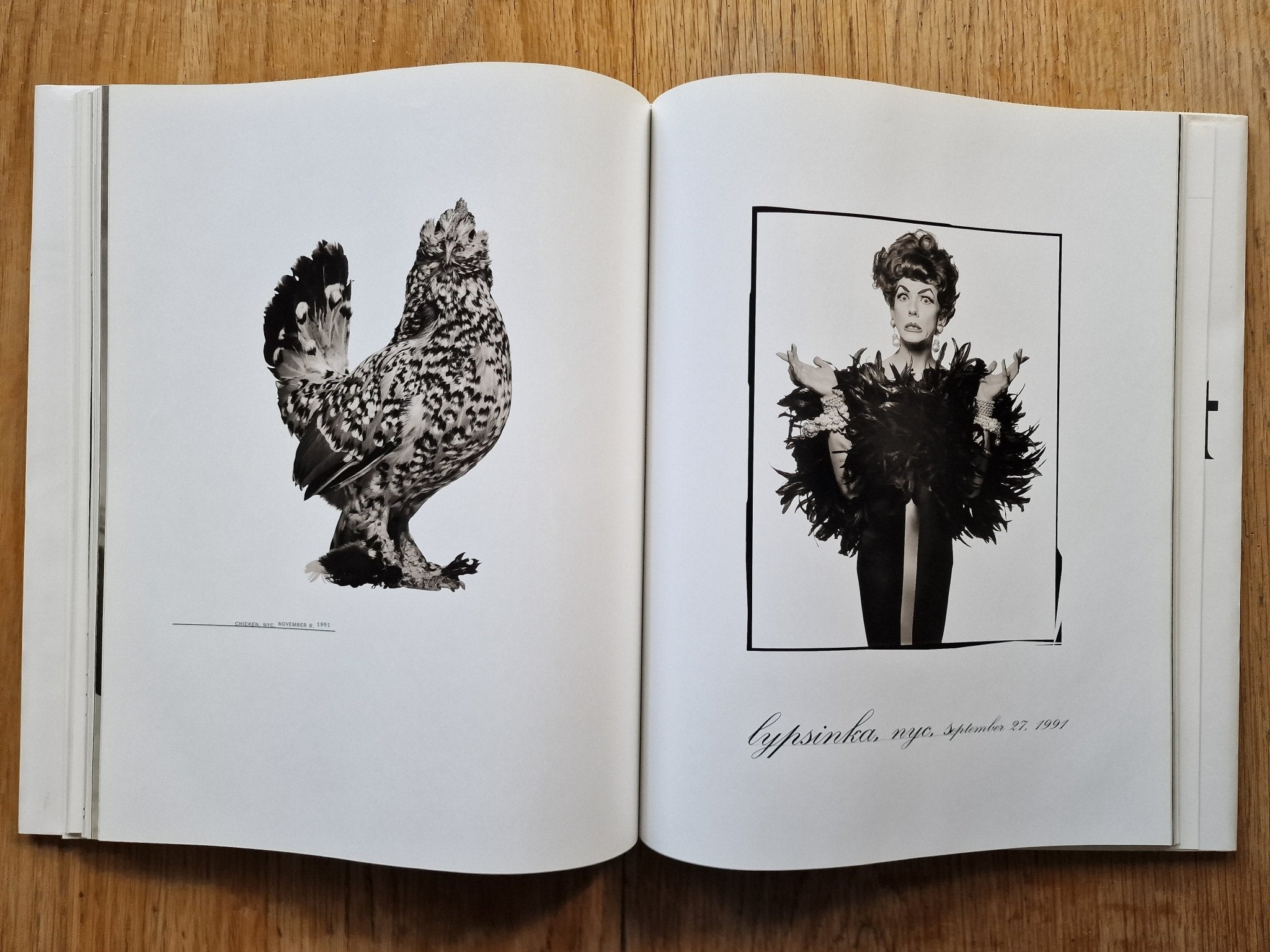 Buy Cyclops by Albert Watson Online – Setanta Books