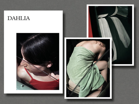 Dahlia - Setanta Books