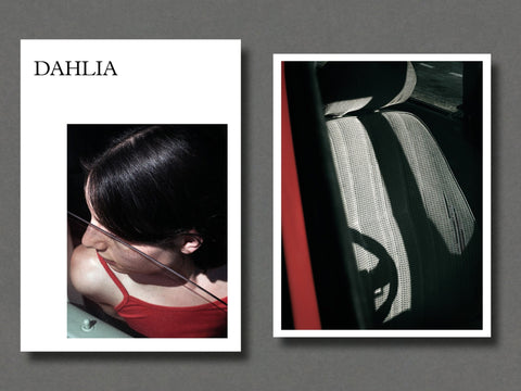 Dahlia - Setanta Books