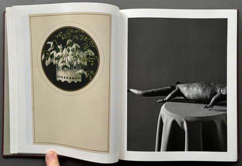 Das Erbe - Setanta Books