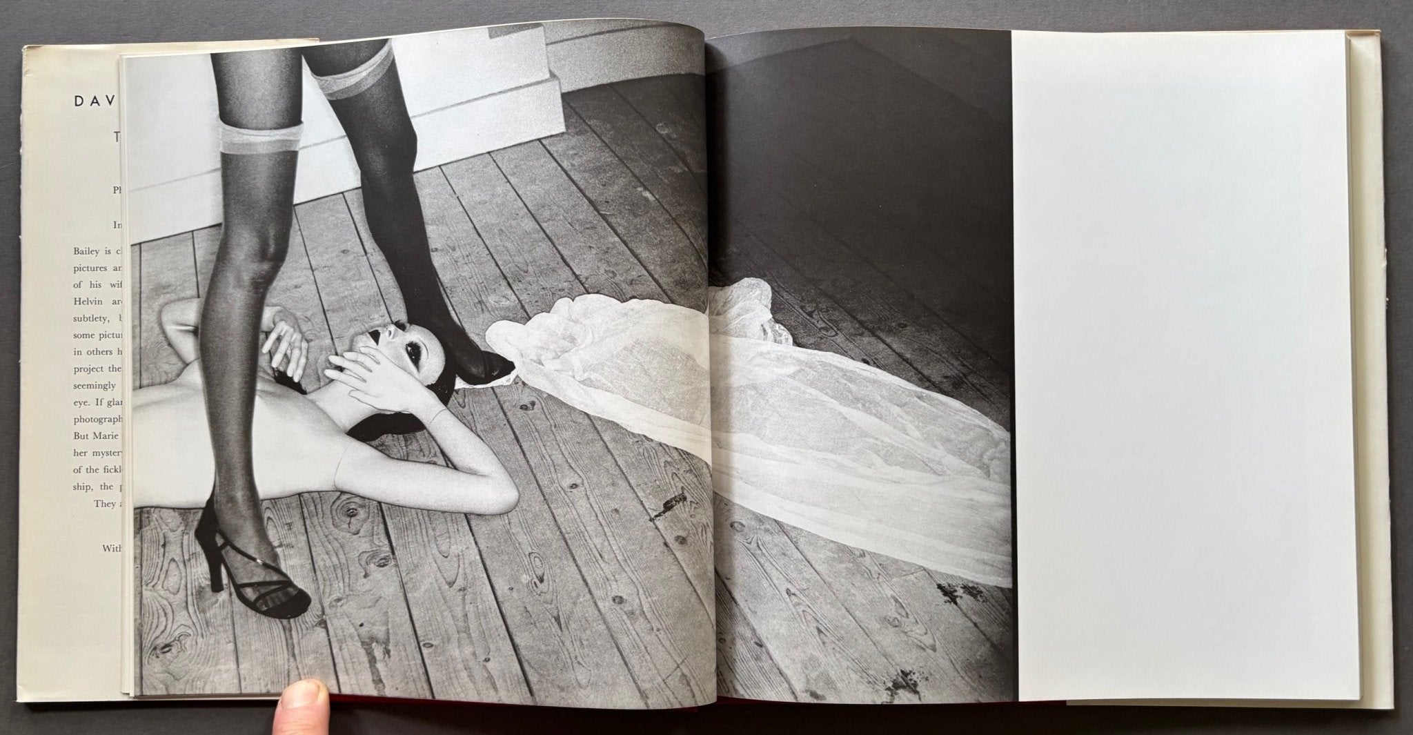 Buy David Bailey's Trouble and Strife – Setanta Books