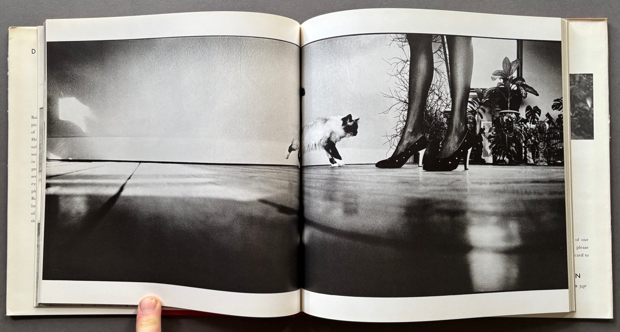 DAVID BAILEY'S Trouble And Strife 洋書　写真 Buy David Bailey's Trouble and Strife – Setanta Books
