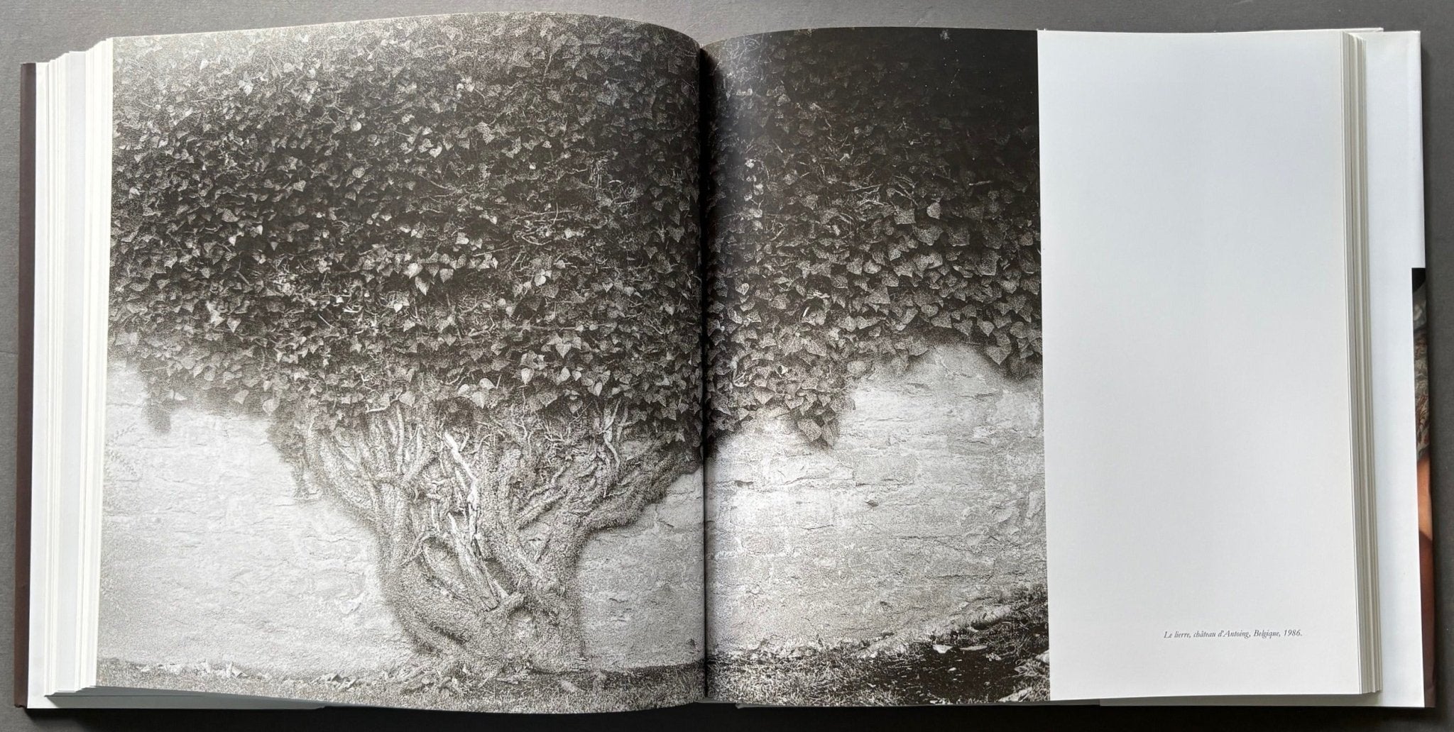 Buy David Hamilton online. – Setanta Books