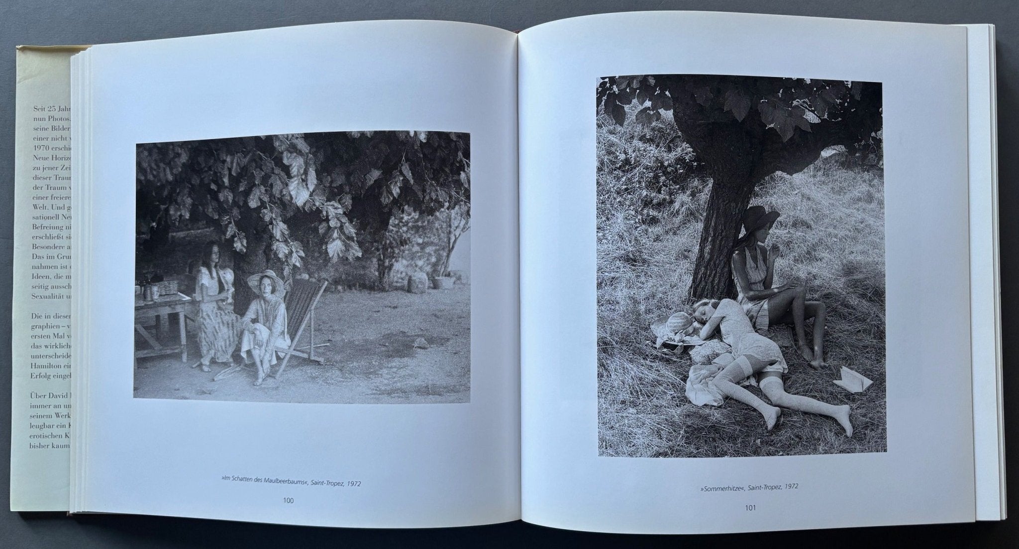 Buy David Hamilton: Seine Besten Bilder (His Best Pictures) 1965