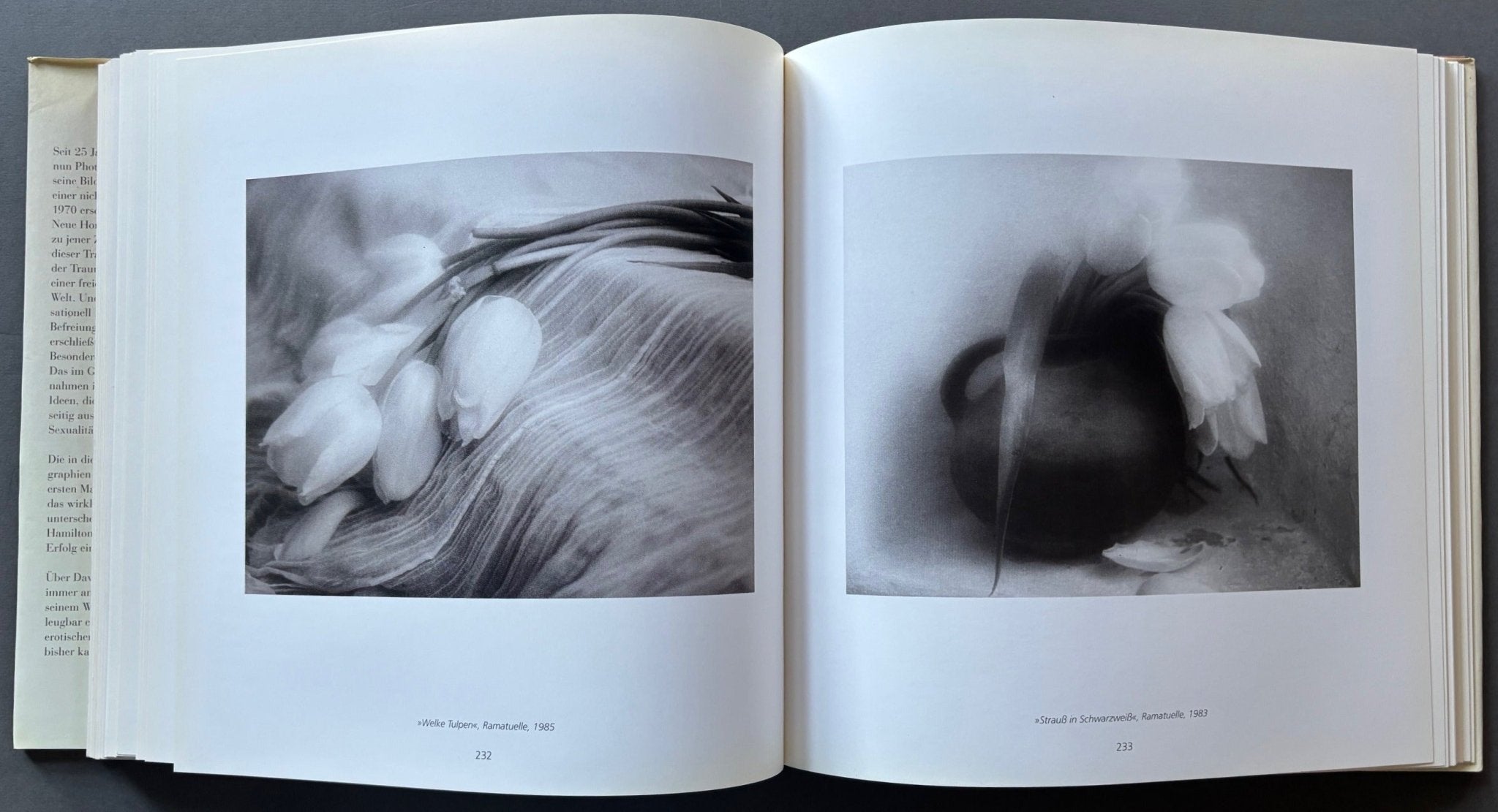 Buy David Hamilton: Seine Besten Bilder (His Best Pictures) 1965