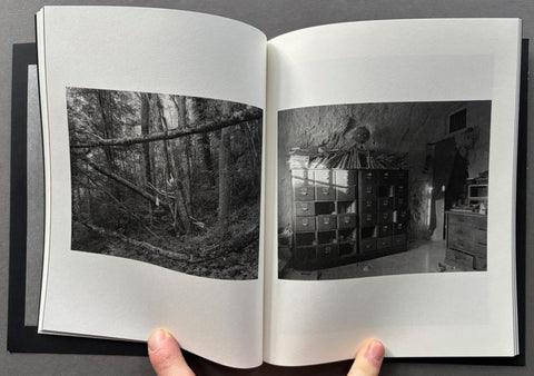 Dawn - Setanta Books