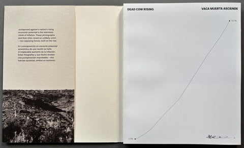 Dead Cow Rising - Setanta Books