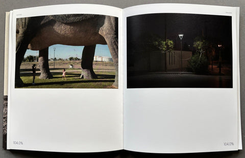 Dead Cow Rising - Setanta Books