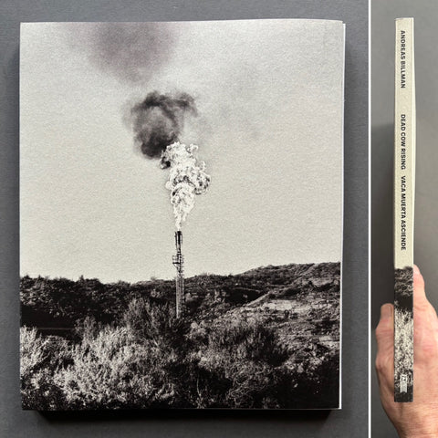 Dead Cow Rising - Setanta Books