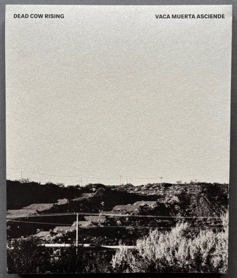 Dead Cow Rising - Setanta Books