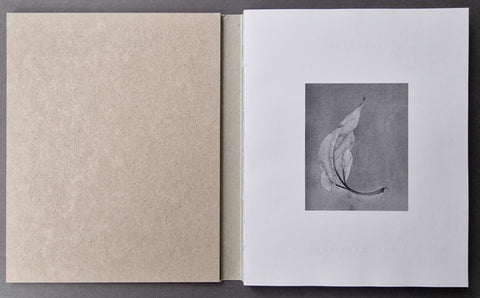 Deadfall - Setanta Books