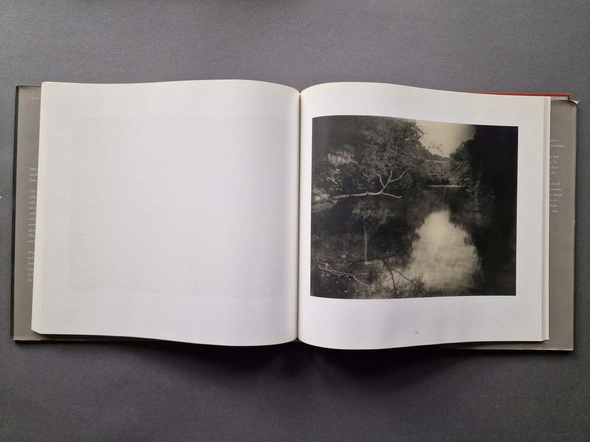 Buy Deep South by Sally Mann Online – Setanta Books