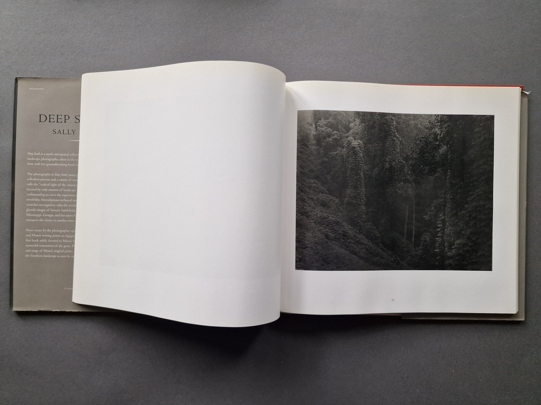洋書　写真集　DEEP SOUTH SALLY MANN Buy Deep South by Sally Mann Online – Setanta Books