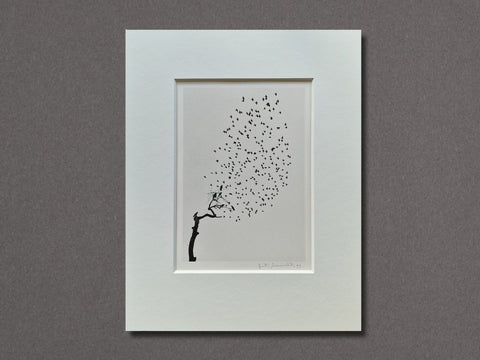 Delhi, India (Flock of Birds), 1999 - Setanta Books