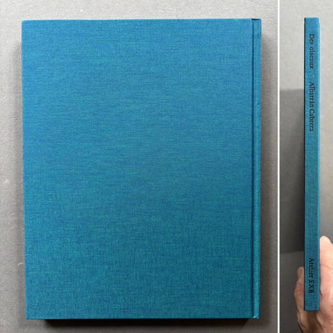 Des Oiseaux - Setanta Books