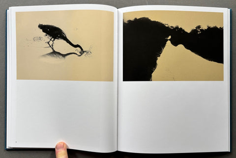 Des Oiseaux - Setanta Books