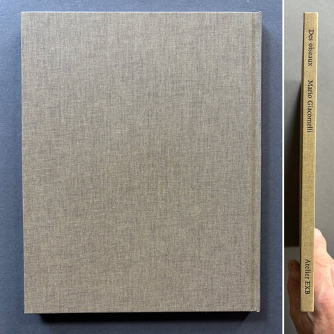 Des oiseaux - Setanta Books