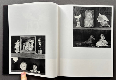 Des oiseaux - Setanta Books