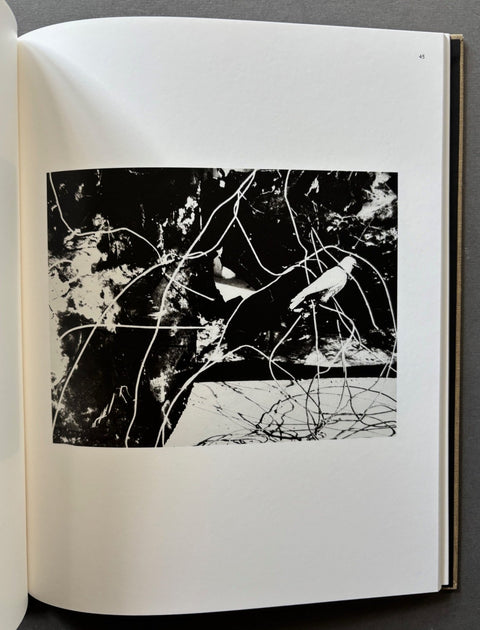Des oiseaux - Setanta Books