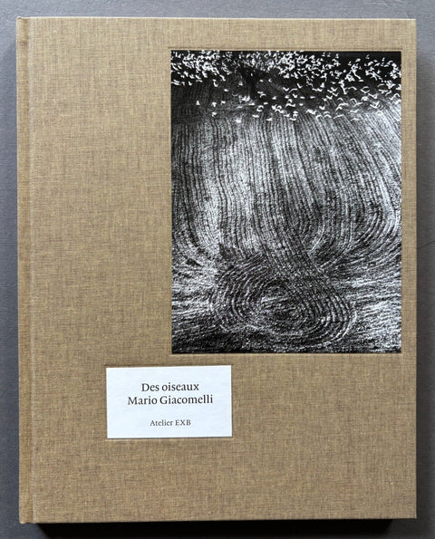 Des oiseaux - Setanta Books