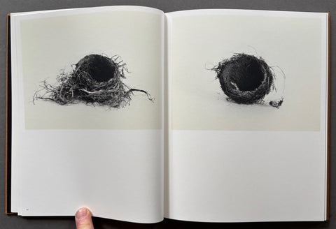 Des oiseaux - Setanta Books