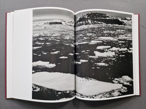 Des Oiseaux - Setanta Books