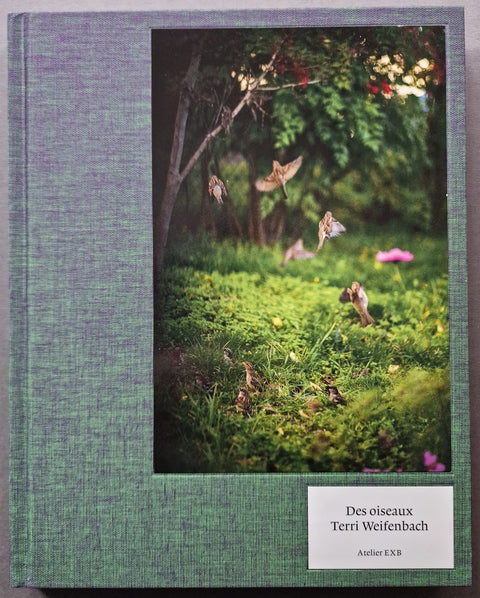 Des Oiseaux