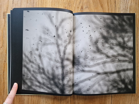 Des Oiseaux - Setanta Books