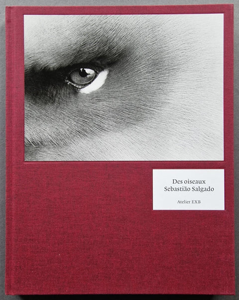 Des Oiseaux - Setanta Books