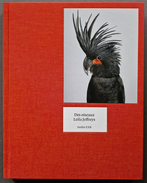Des Oiseaux