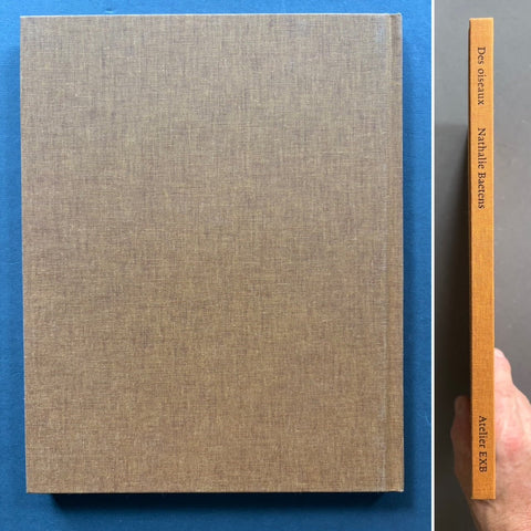 Des oiseaux - Setanta Books