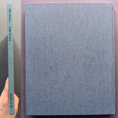 Des Oiseaux - Setanta Books